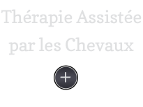 Thérapie assistées par Chevaux