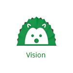 vision